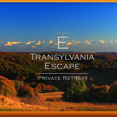 RichisuTransylvania Escape公寓 外观 照片