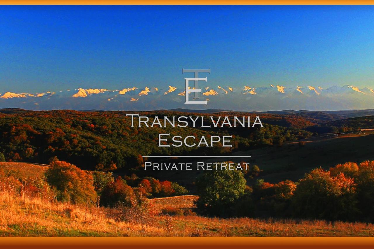 RichisuTransylvania Escape公寓 外观 照片