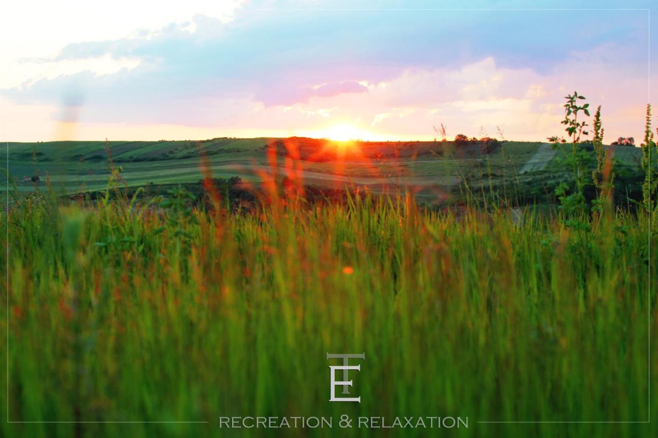 RichisuTransylvania Escape公寓 外观 照片