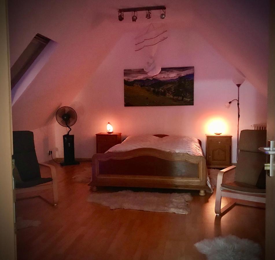 RichisuTransylvania Escape公寓 外观 照片